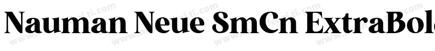 Nauman Neue SmCn ExtraBold字体转换